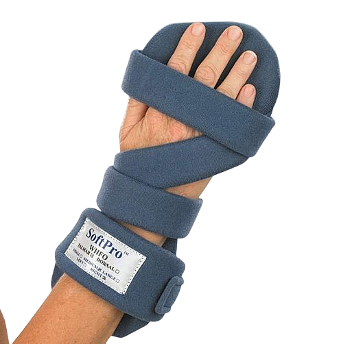 �� ����� ���- SoftPro palmar