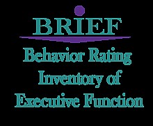 ����� �- BRIEF �������� ��������